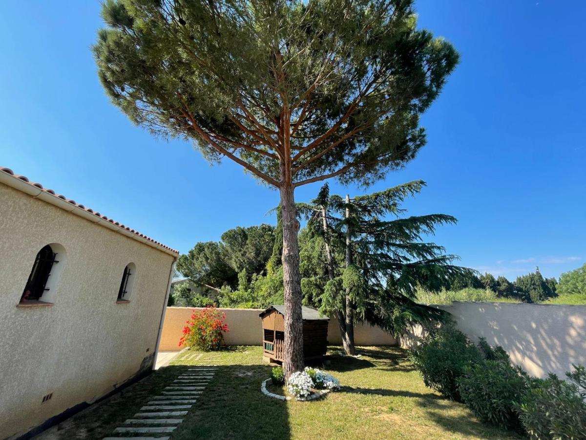 Annexe Des Pins - Studio Gite Avec Piscine & Climatisation Villeneuve-les-Beziers Exterior photo